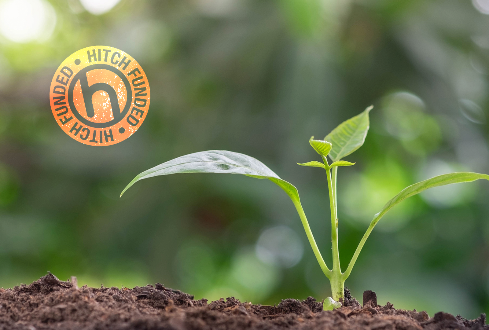 Photograph of sapling growing out of soil with a hitch fund stamp.